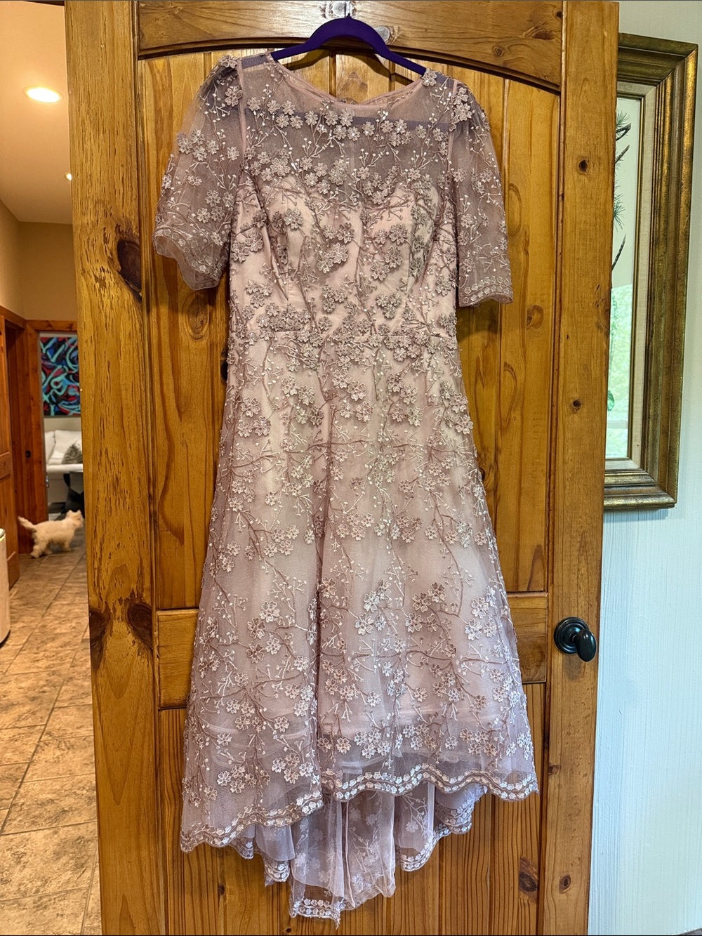 Embroidered High-Low Lace Dress in Dusty Rose